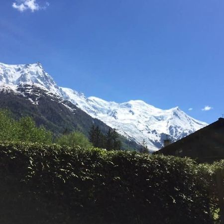 Studio Au Calme Avec Jardin Et Vue Mont-Blanc Chamonix Kültér fotó