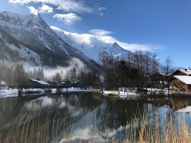 Studio Au Calme Avec Jardin Et Vue Mont-Blanc Chamonix Kültér fotó
