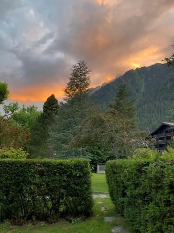 Studio Au Calme Avec Jardin Et Vue Mont-Blanc Chamonix Kültér fotó